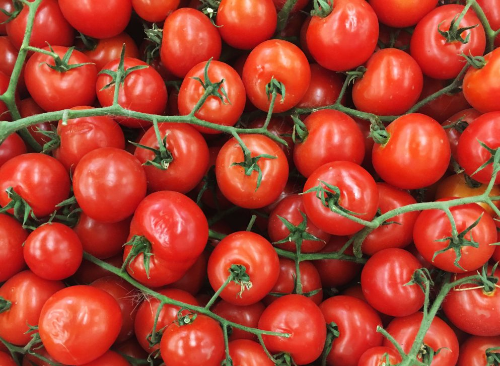 Сеньор помидор от ЗЖБИ-4