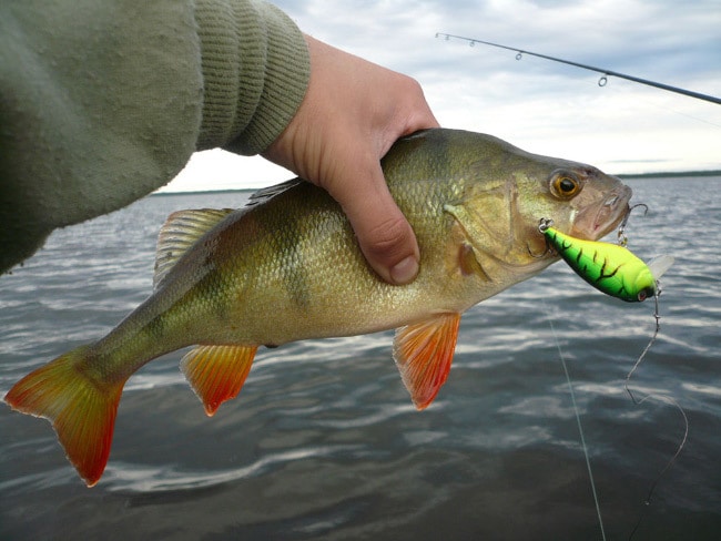 Осенняя путина ЗЖБИ-4